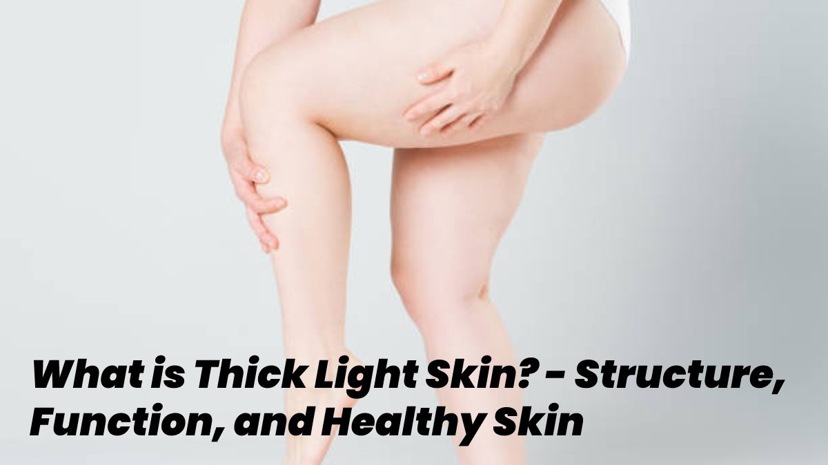 What is Thick Light Skin? – Structure, Function, and Healthy Skin
