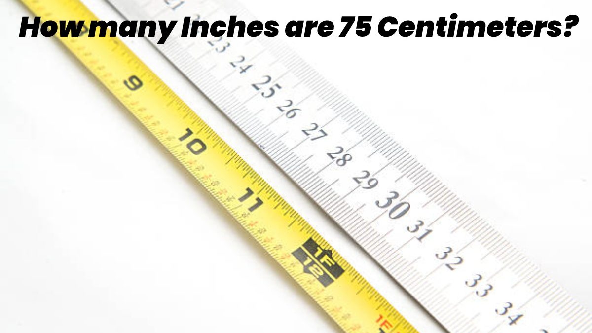 How many Inches are 75 Centimeters?