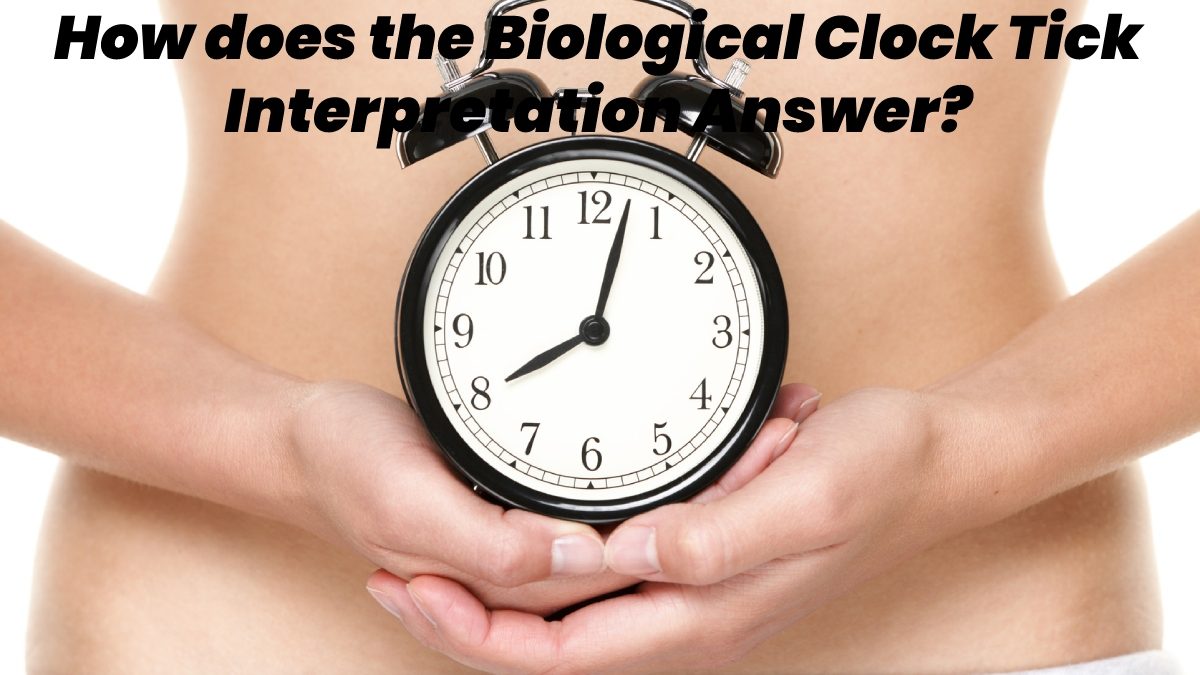 How does the Biological Clock Tick Interpretation Answer?