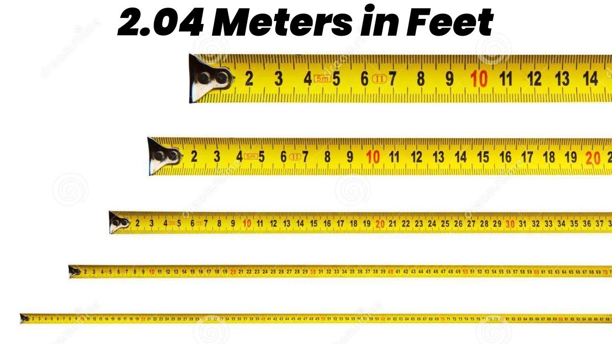 2.04 Meters to Feet