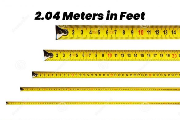 2.04 meters to feet