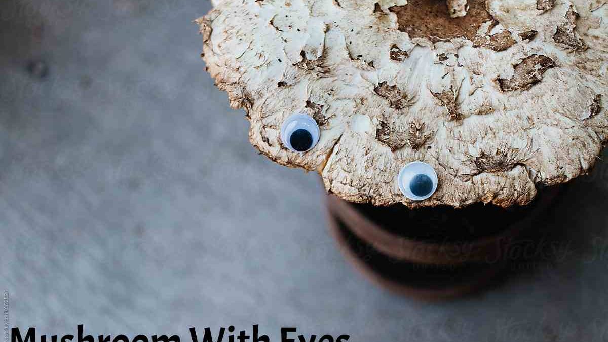 Mushroom With Eyes