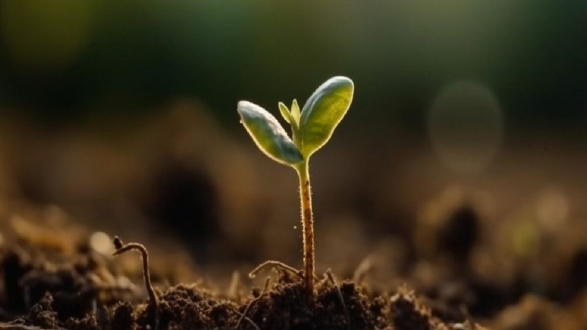 Nourishing the Planet: Sustainable Diets for a Healthier Earth