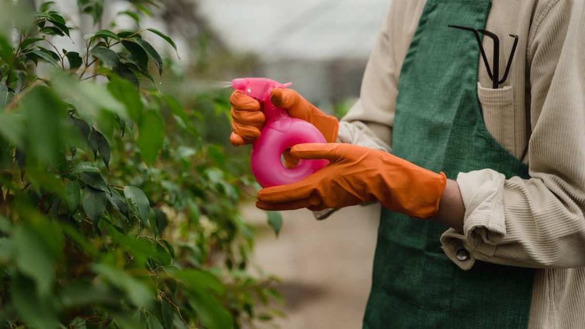 Why Avoid Using Chemical Products on Your Rooftop Vegetable Garden