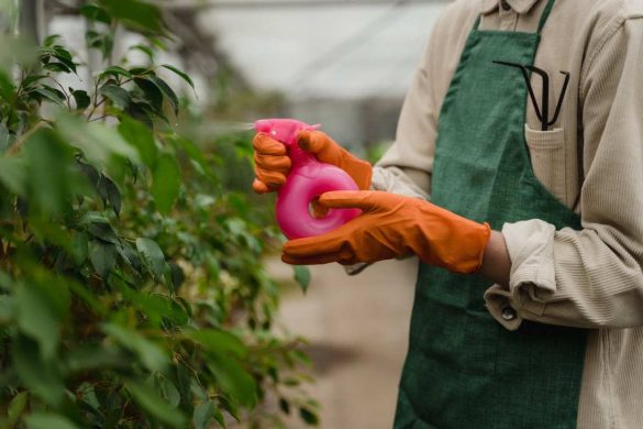 Why Avoid Using Chemical Products on Your Rooftop Vegetable Garden