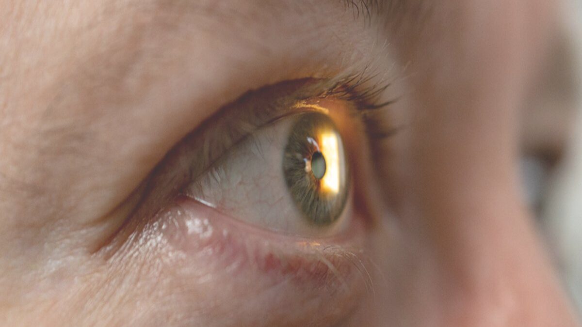 What is Stargardt Disease? – Symptoms, Risk, and Treatment