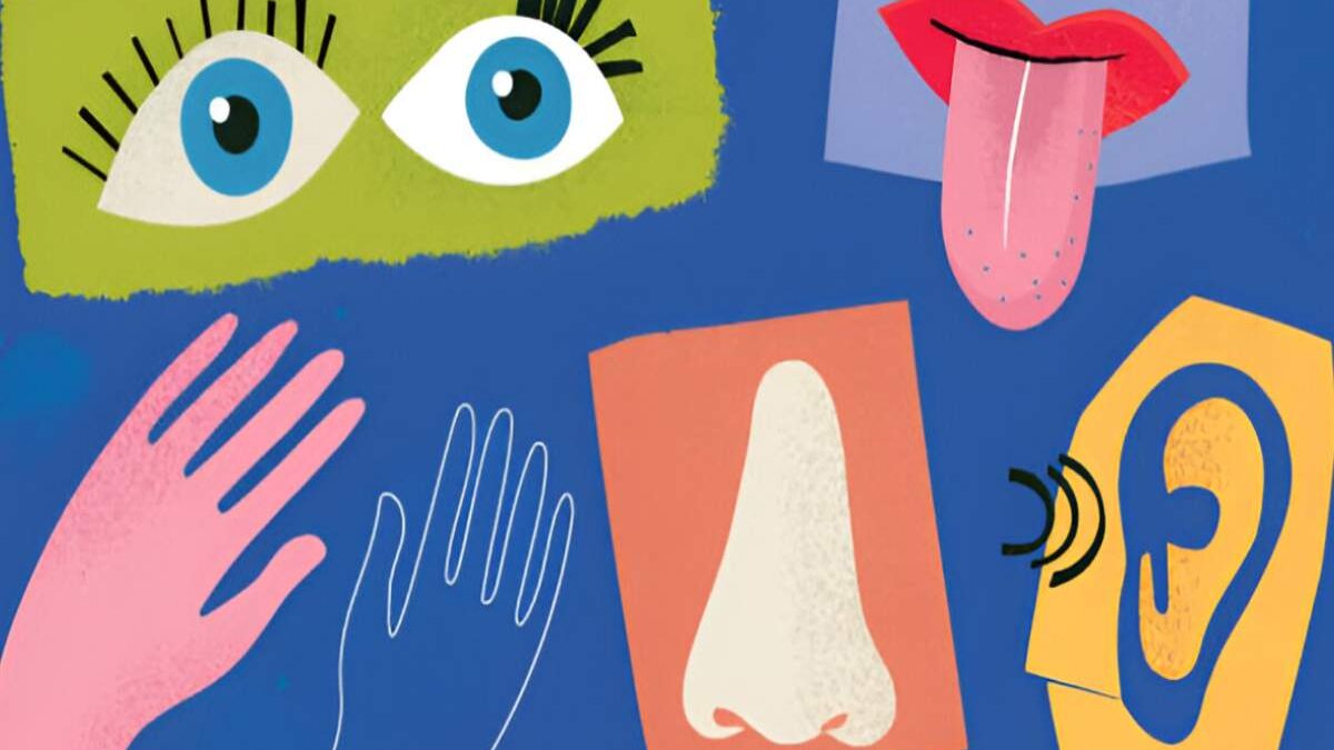 What is a Sensory Detail