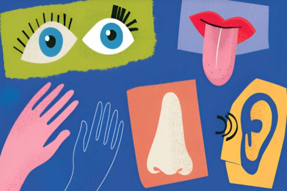 What is a Sensory Detail