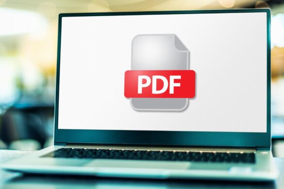 pdf rani .com
