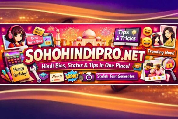 sohohindipro.net