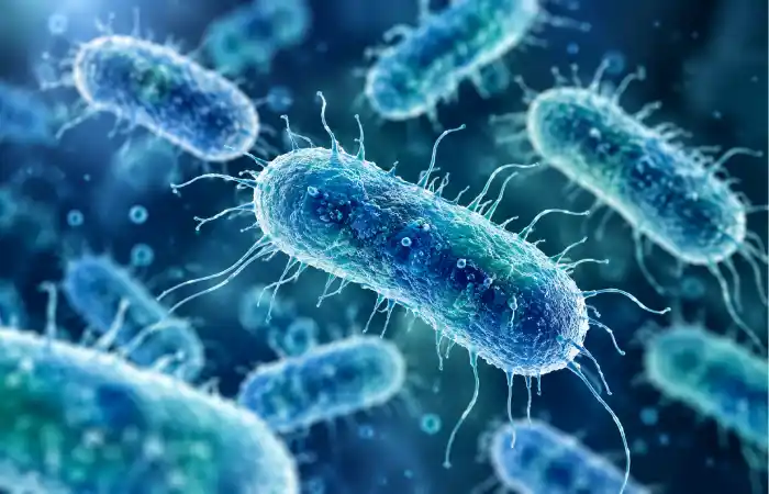 what is pluralibacter gergoviae_